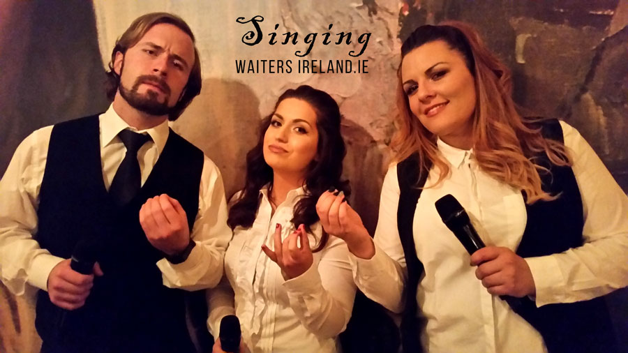 Singing Waiters for hire with www.singingwaitersireland.ie